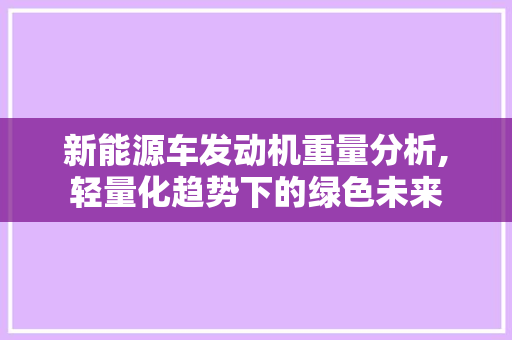 新能源车发动机重量分析,轻量化趋势下的绿色未来