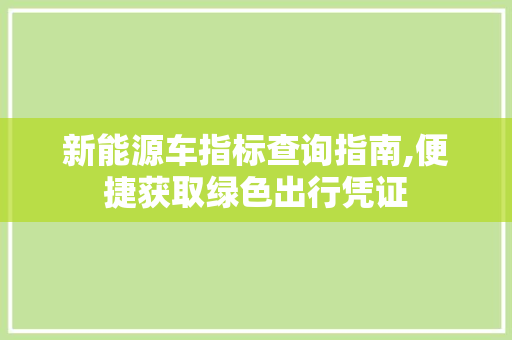 新能源车指标查询指南,便捷获取绿色出行凭证