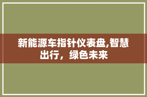 新能源车指针仪表盘,智慧出行，绿色未来