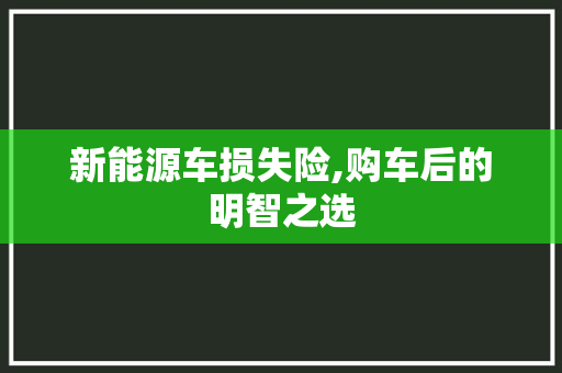 新能源车损失险,购车后的明智之选