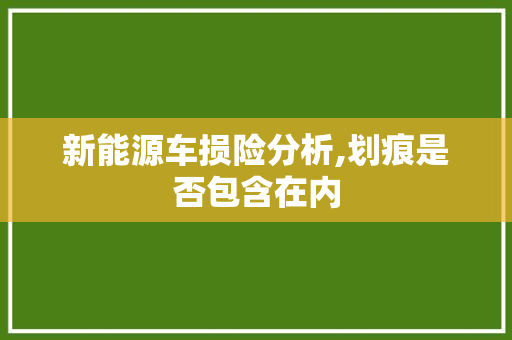 新能源车损险分析,划痕是否包含在内