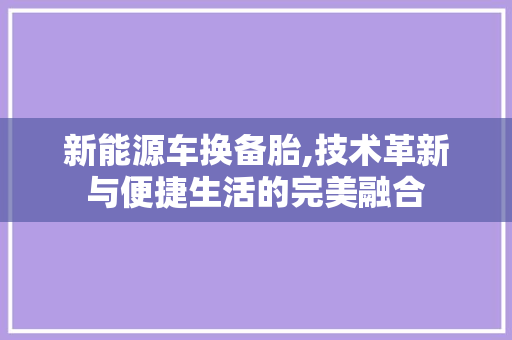 新能源车换备胎,技术革新与便捷生活的完美融合
