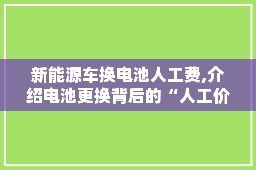 新能源车换电池人工费,介绍电池更换背后的“人工价值”