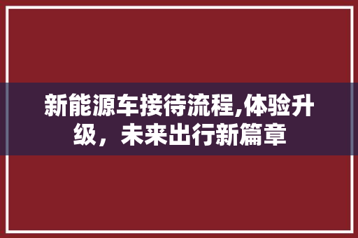 新能源车接待流程,体验升级，未来出行新篇章