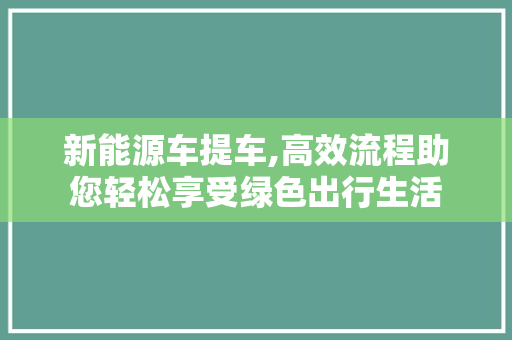 新能源车提车,高效流程助您轻松享受绿色出行生活