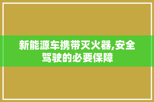 新能源车携带灭火器,安全驾驶的必要保障