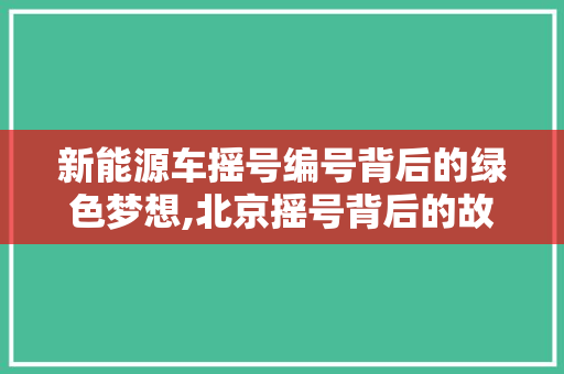 新能源车摇号编号背后的绿色梦想,北京摇号背后的故事