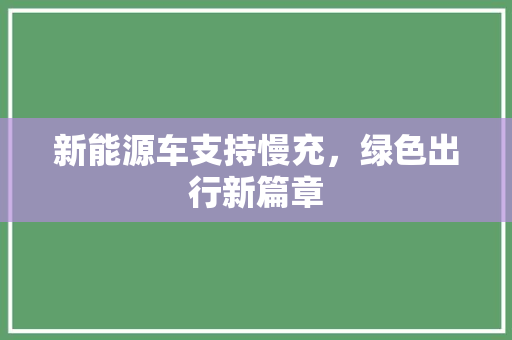 新能源车支持慢充，绿色出行新篇章