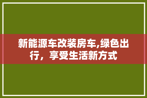 新能源车改装房车,绿色出行，享受生活新方式