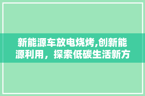 新能源车放电烧烤,创新能源利用，探索低碳生活新方式
