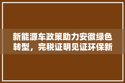 新能源车政策助力安徽绿色转型，完税证明见证环保新篇章