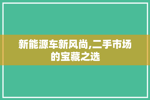 新能源车新风尚,二手市场的宝藏之选