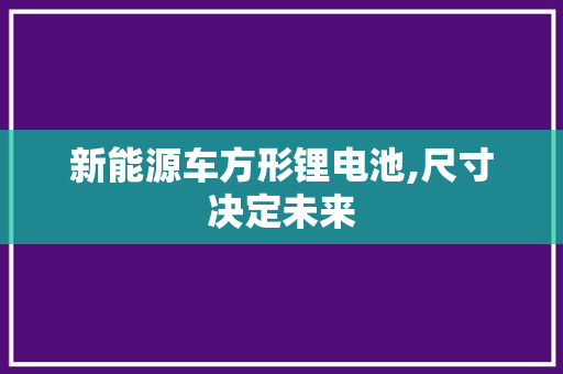 新能源车方形锂电池,尺寸决定未来