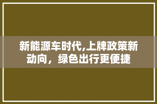 新能源车时代,上牌政策新动向，绿色出行更便捷