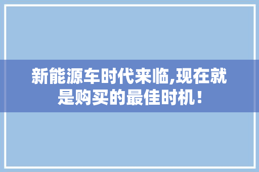 新能源车时代来临,现在就是购买的最佳时机！