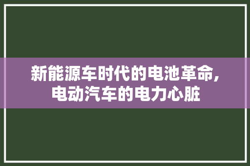 新能源车时代的电池革命,电动汽车的电力心脏