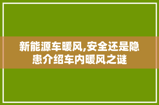 新能源车暖风,安全还是隐患介绍车内暖风之谜