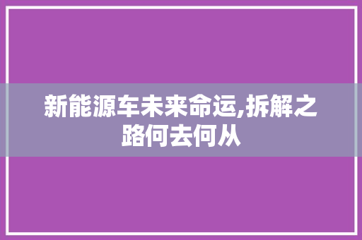 新能源车未来命运,拆解之路何去何从