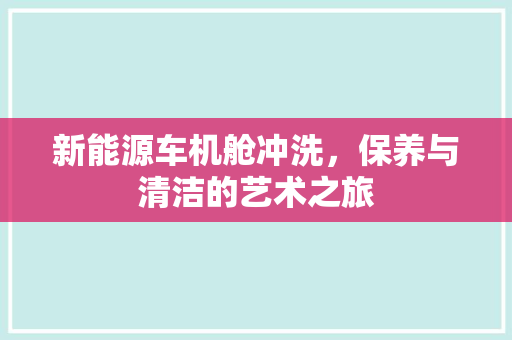 新能源车机舱冲洗，保养与清洁的艺术之旅