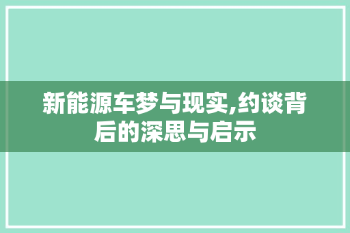 新能源车梦与现实,约谈背后的深思与启示