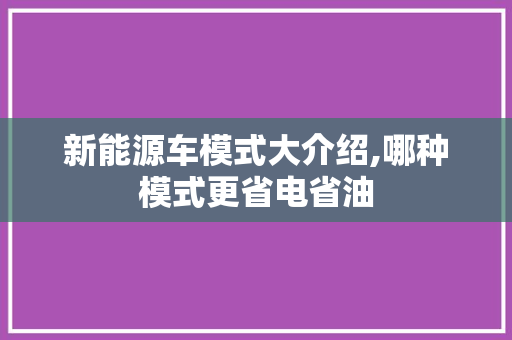新能源车模式大介绍,哪种模式更省电省油