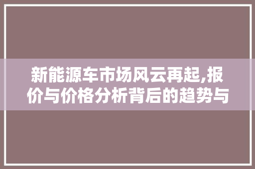 新能源车市场风云再起,报价与价格分析背后的趋势与机遇