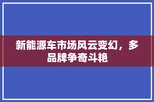 新能源车市场风云变幻，多品牌争奇斗艳