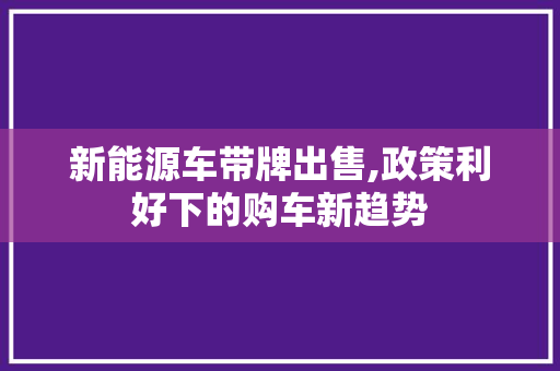 新能源车带牌出售,政策利好下的购车新趋势