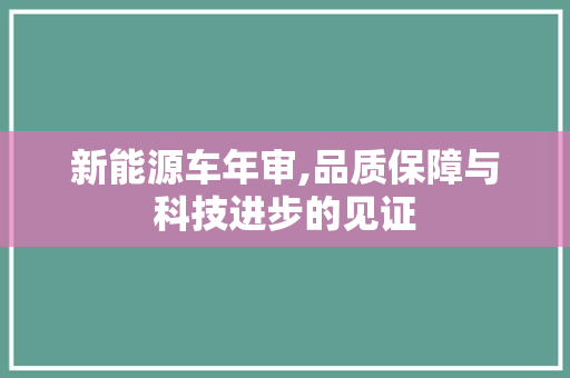 新能源车年审,品质保障与科技进步的见证