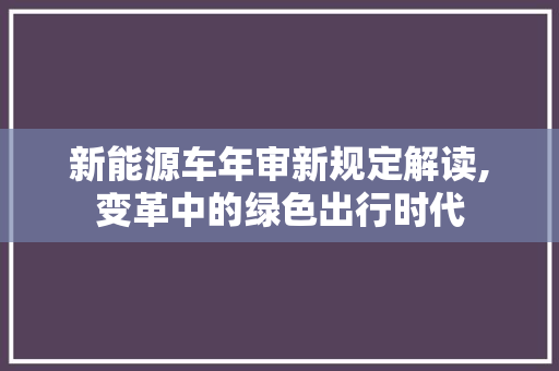 新能源车年审新规定解读,变革中的绿色出行时代