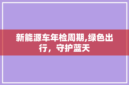 新能源车年检周期,绿色出行，守护蓝天