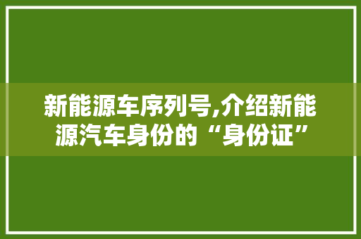 新能源车序列号,介绍新能源汽车身份的“身份证”