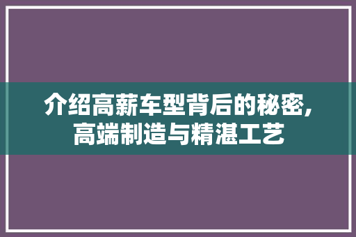 介绍高薪车型背后的秘密,高端制造与精湛工艺