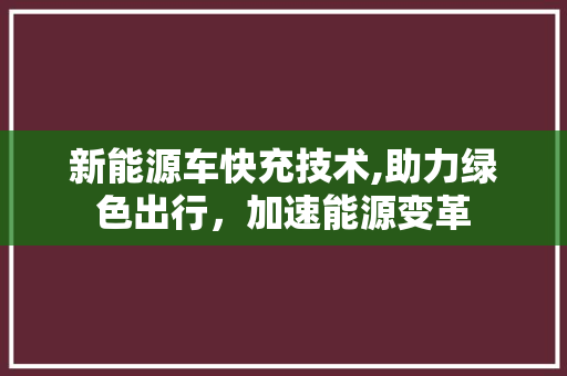 新能源车快充技术,助力绿色出行，加速能源变革