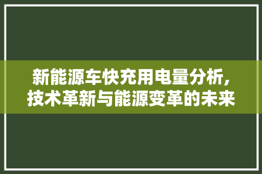 新能源车快充用电量分析,技术革新与能源变革的未来