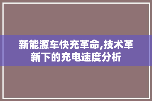 新能源车快充革命,技术革新下的充电速度分析