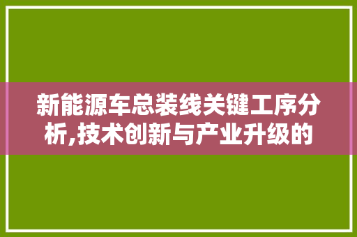 新能源车总装线关键工序分析,技术创新与产业升级的引擎