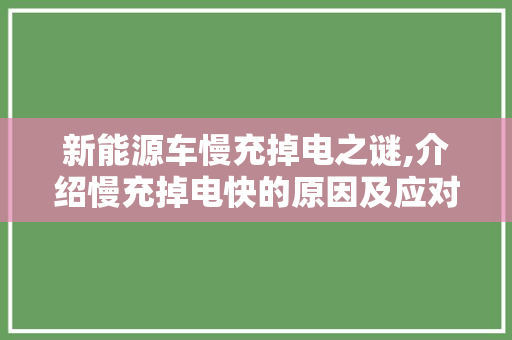 新能源车慢充掉电之谜,介绍慢充掉电快的原因及应对步骤