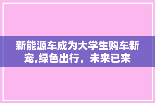 新能源车成为大学生购车新宠,绿色出行，未来已来