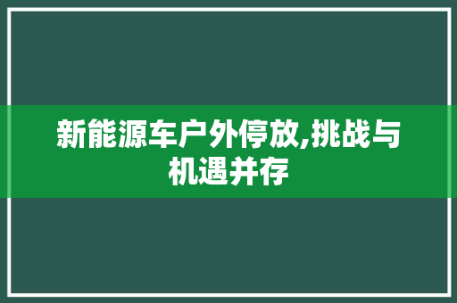 新能源车户外停放,挑战与机遇并存