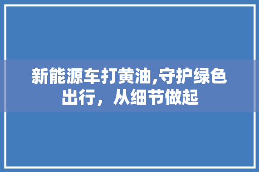 新能源车打黄油,守护绿色出行，从细节做起
