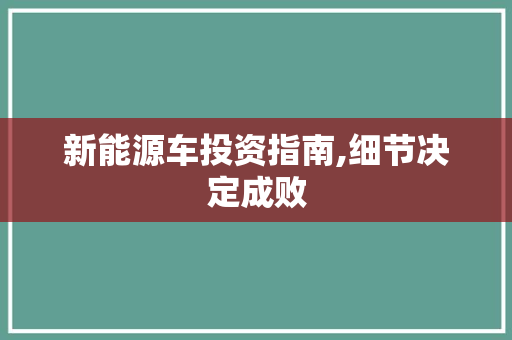 新能源车投资指南,细节决定成败