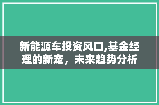 新能源车投资风口,基金经理的新宠，未来趋势分析