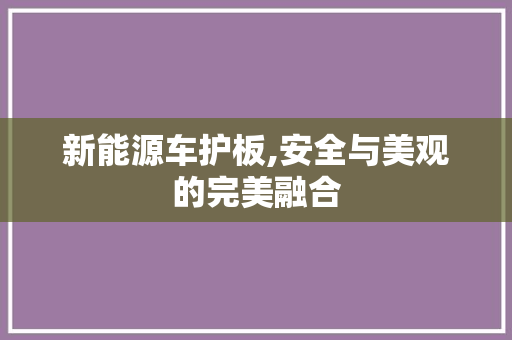 新能源车护板,安全与美观的完美融合