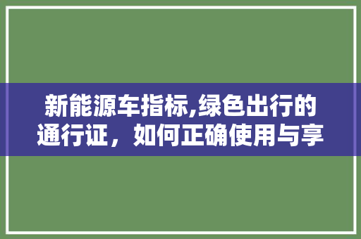 新能源车指标,绿色出行的通行证，如何正确使用与享受