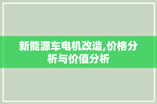 新能源车电机改造,价格分析与价值分析
