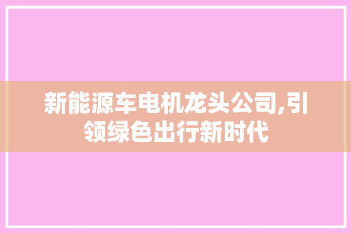 新能源车电机龙头公司,引领绿色出行新时代