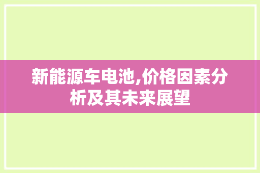 新能源车电池,价格因素分析及其未来展望