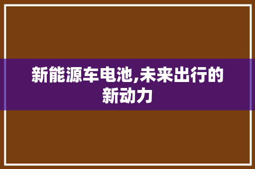 新能源车电池,未来出行的新动力