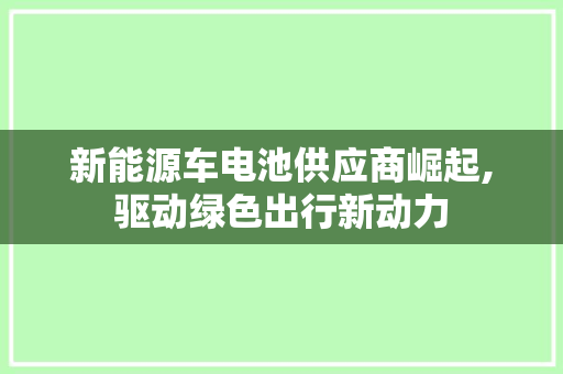 新能源车电池供应商崛起,驱动绿色出行新动力